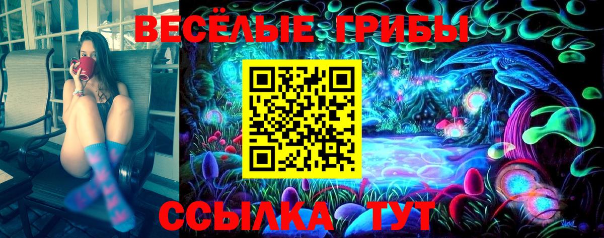 Галлюциногенные грибы GOLDEN TEACHER Дербент