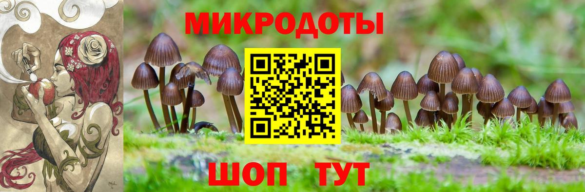 даркнет сайт  Псилоцибиновые грибы MAGIC MUSHROOMS  Вход с VPN  Дербент 